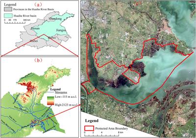 Vegetation and carbon sink response to water level changes in a seasonal lake wetland